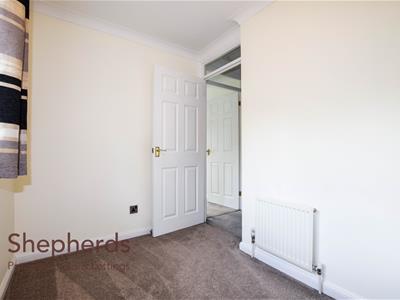 Picture 11
